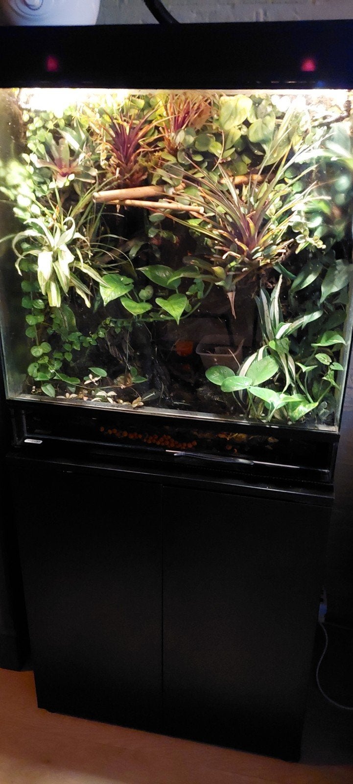 Paludarium compleet, Ophalen, Gebruikt, Terrarium of Paludarium