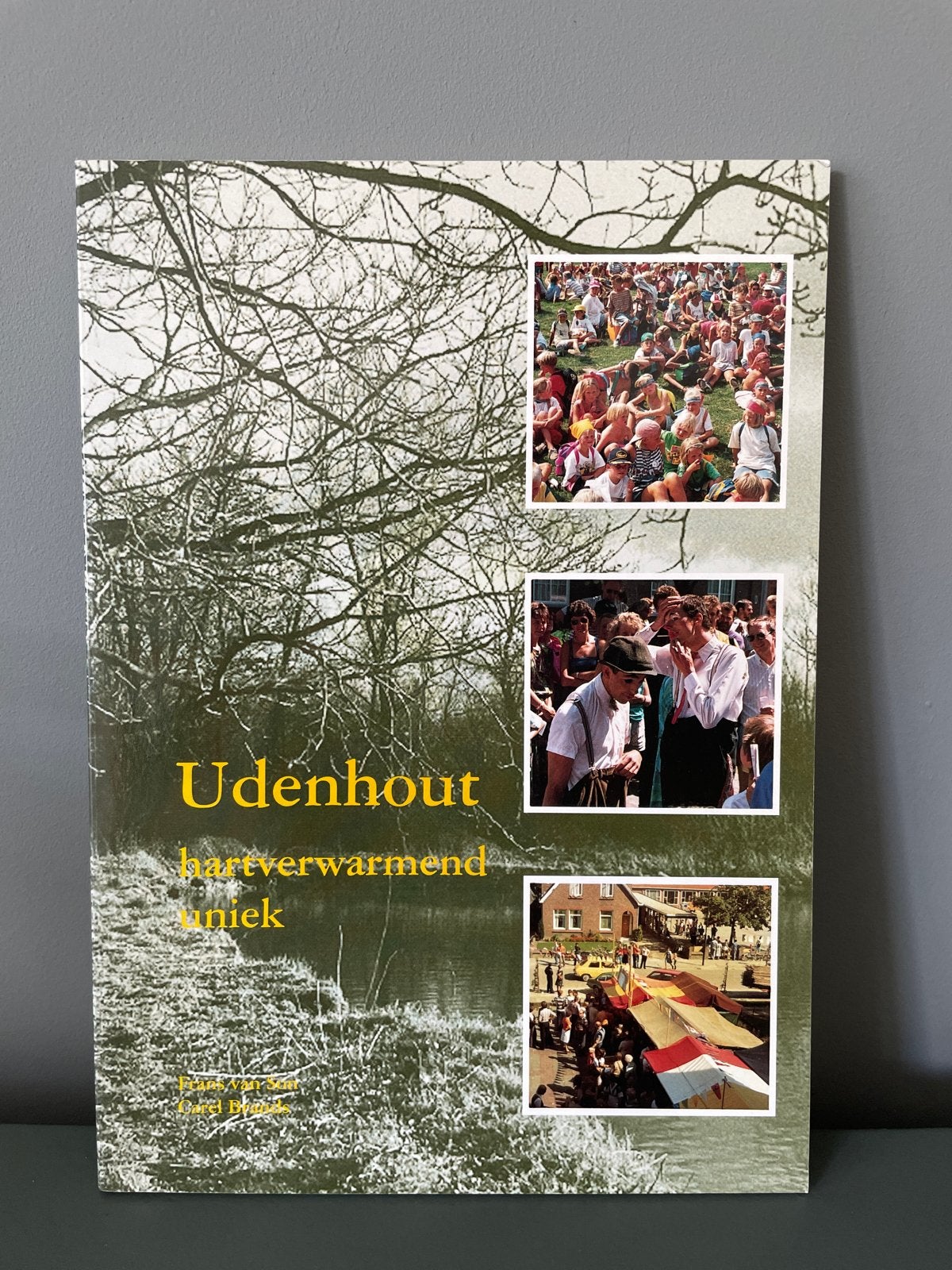 Udenhout: Hartverwarmend en Uniek - Geschiedenisboek, Ophalen of Verzenden, 20e eeuw of later, Zo goed als nieuw