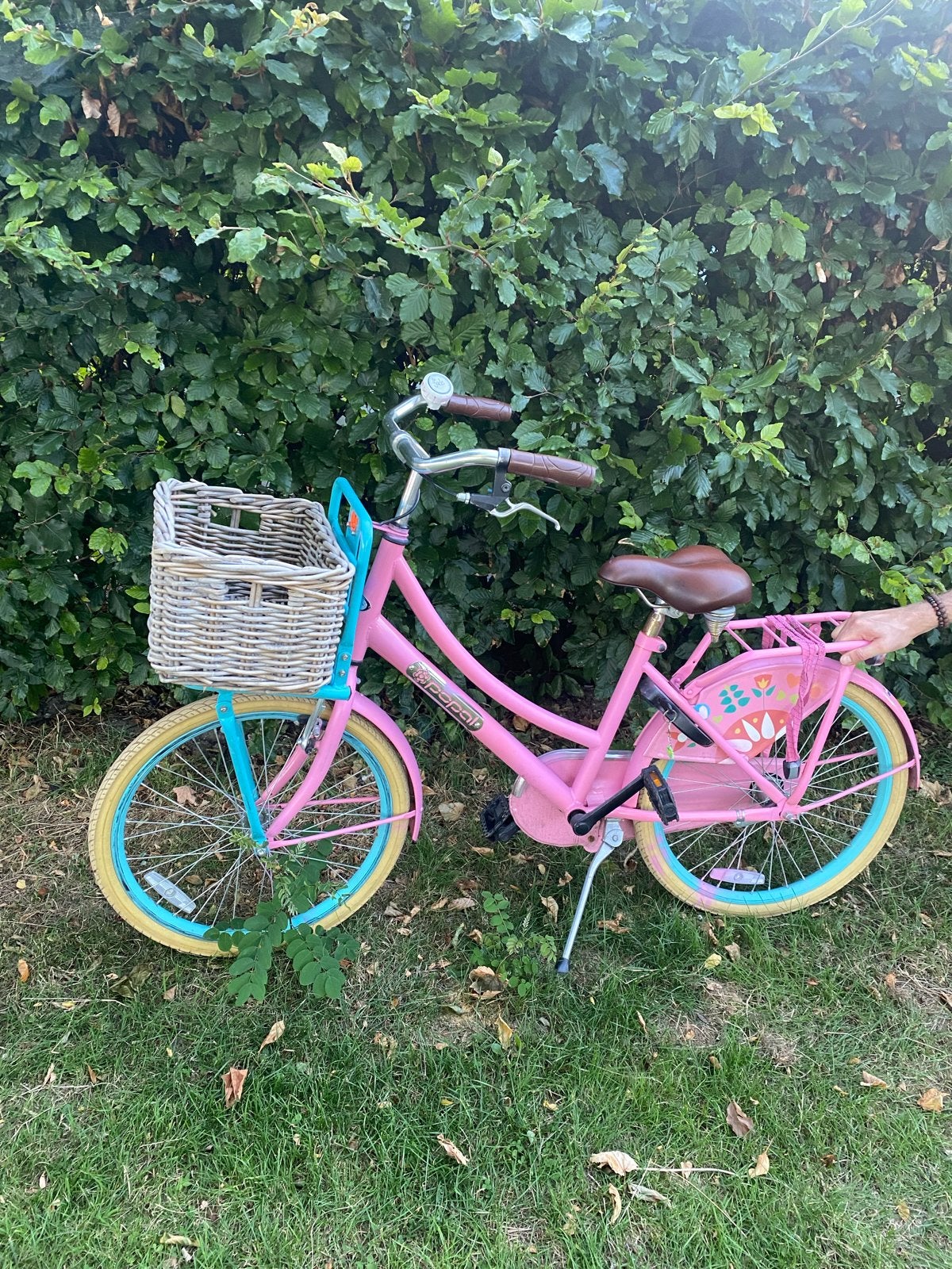 Roze kinderfiets van Popal met mandje - 22 inch, Ophalen of Verzenden, Gebruikt, Terugtraprem, 20 inch of meer