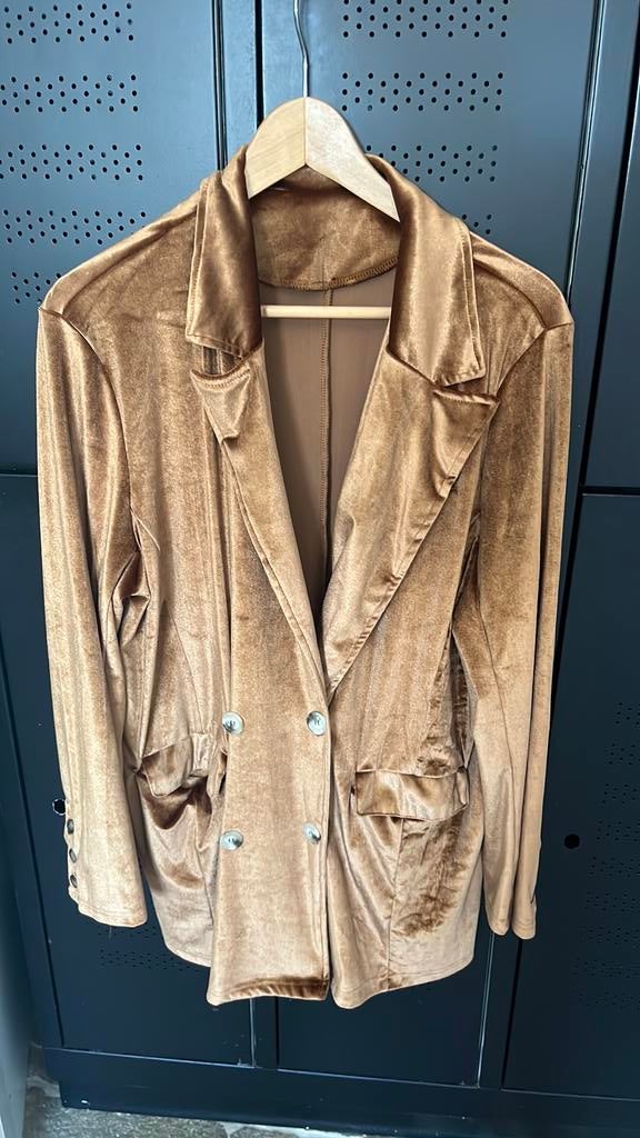 Super hippe blazer roest kleur velours, Kleding | Dames, Ophalen of Verzenden, Nieuw