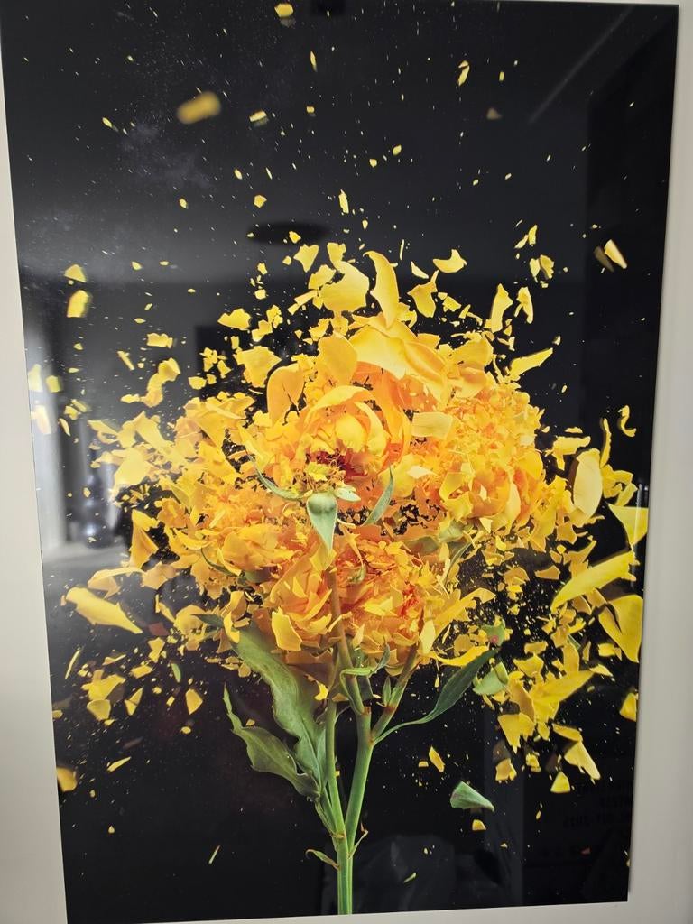 Schilderij, Ophalen of Verzenden