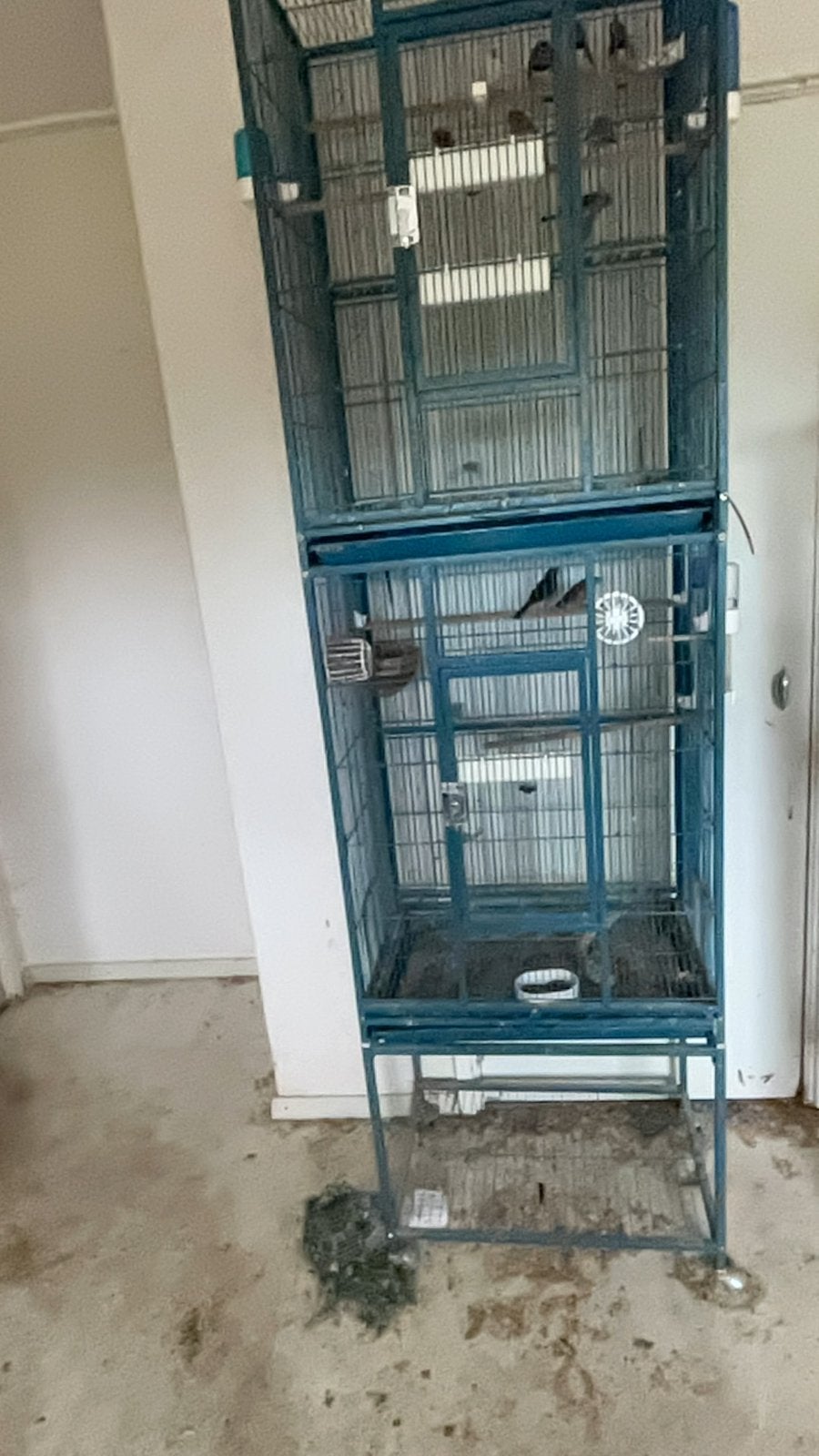 Kooien groot, Ophalen, Zo goed als nieuw, Metaal, Vogelkooi
