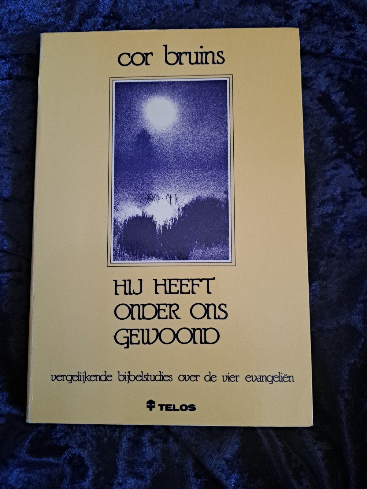 Hij Heeft Onder Ons Gewoond - Cor Bruins (Bijbelstudie), Ophalen of Verzenden, Gelezen, Cor Bruins, Christendom | Protestants