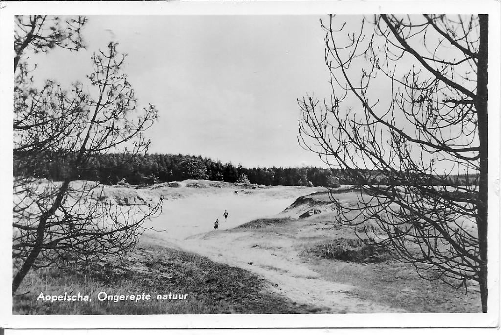 Appelscha Ongerepte natuur., Ophalen of Verzenden, 1940 tot 1960, Gelopen, Gelderland
