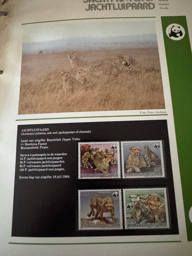 WWF Postzegelcollectie: Jaguar & Jachtluipaard (Eerste Dag), Postzegels en Munten, Verzenden, Onbeschreven, Rest van de wereld