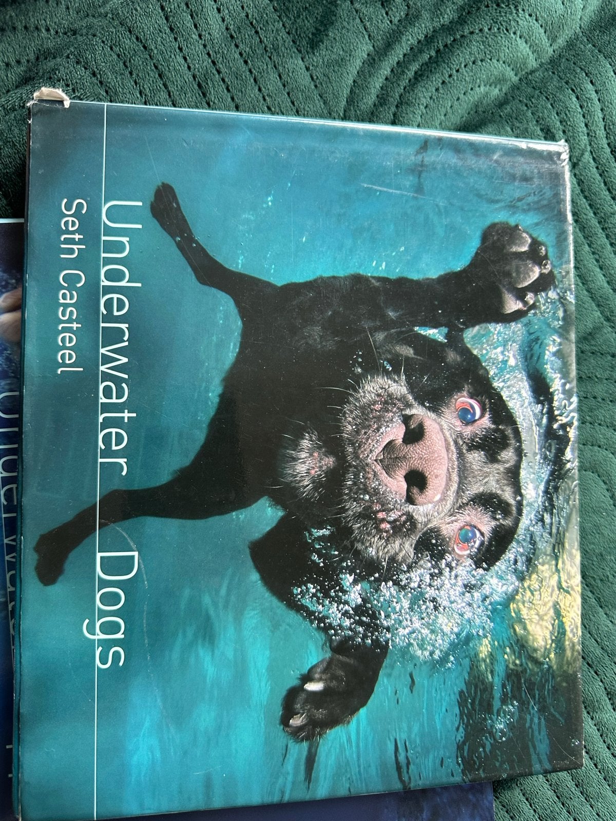 2 books Underwater Puppies - Seth Casteel (Honden Boek), Ophalen of Verzenden, Zo goed als nieuw, Honden