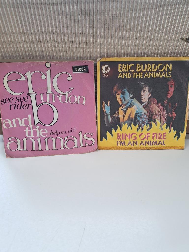 The Animals, Ophalen of Verzenden, Gebruikt, Pop