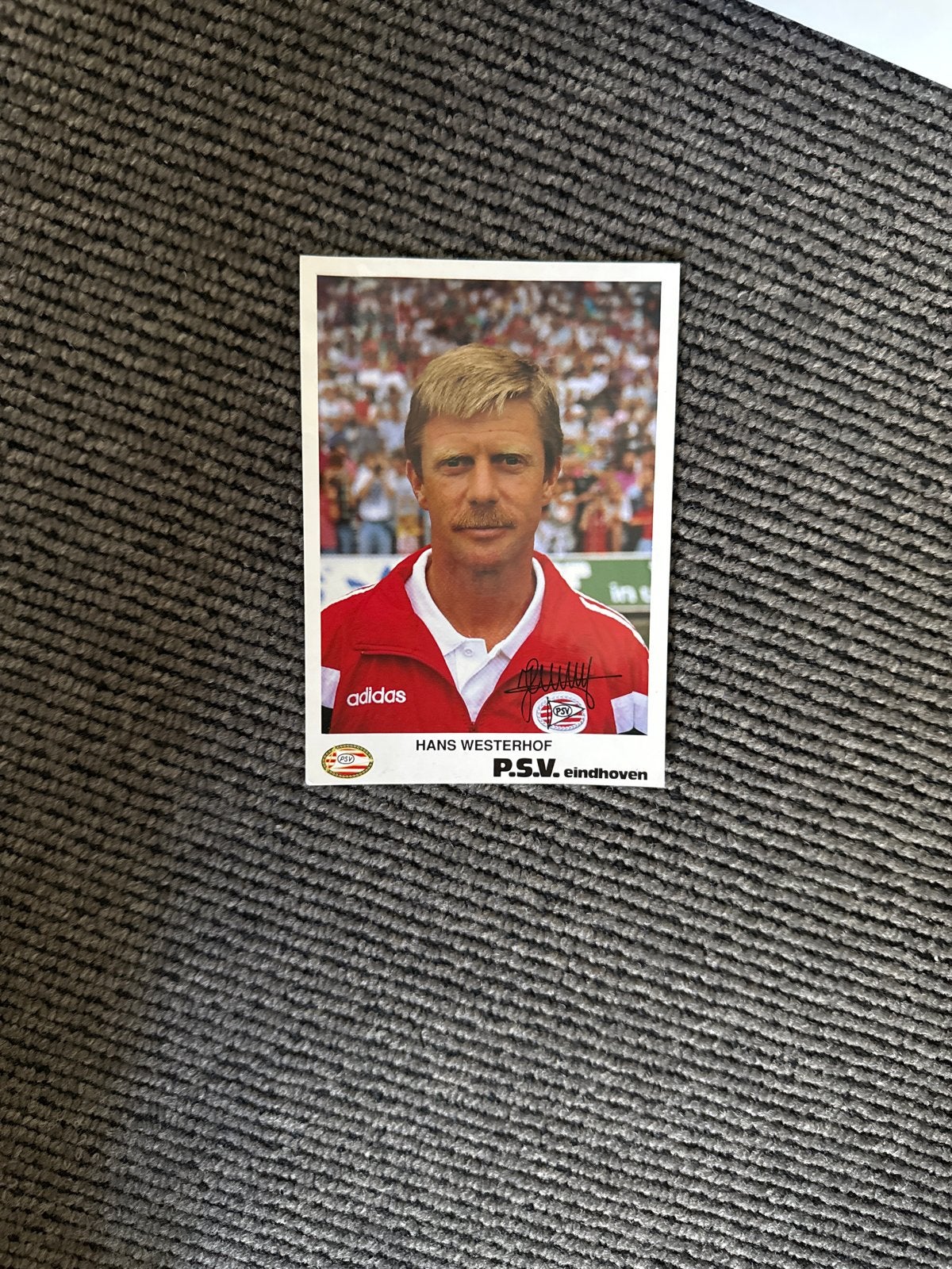 Hans Westerhof PSV Eindhoven Spelerskaart, Ophalen of Verzenden, Zo goed als nieuw, PSV, Spelerskaart