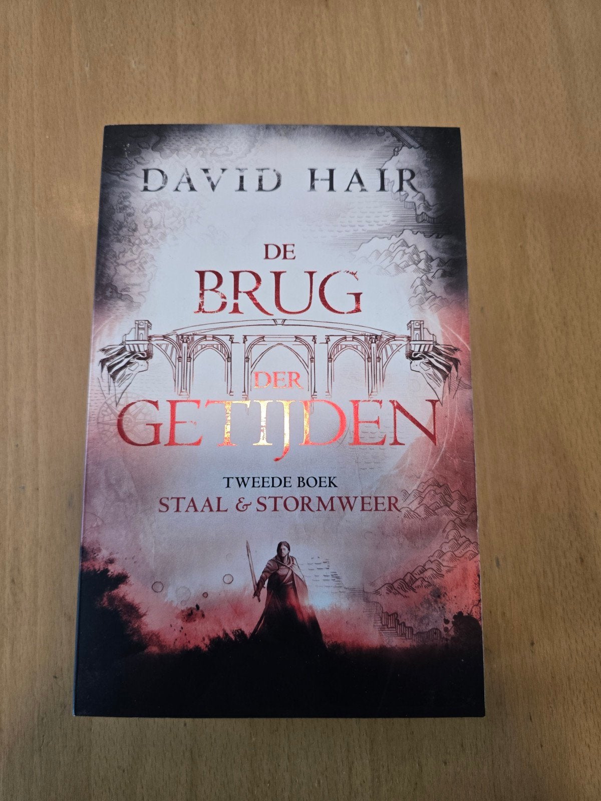 De brug der getijden - Staal & Stormweer - David Hair, Ophalen of Verzenden, Gelezen