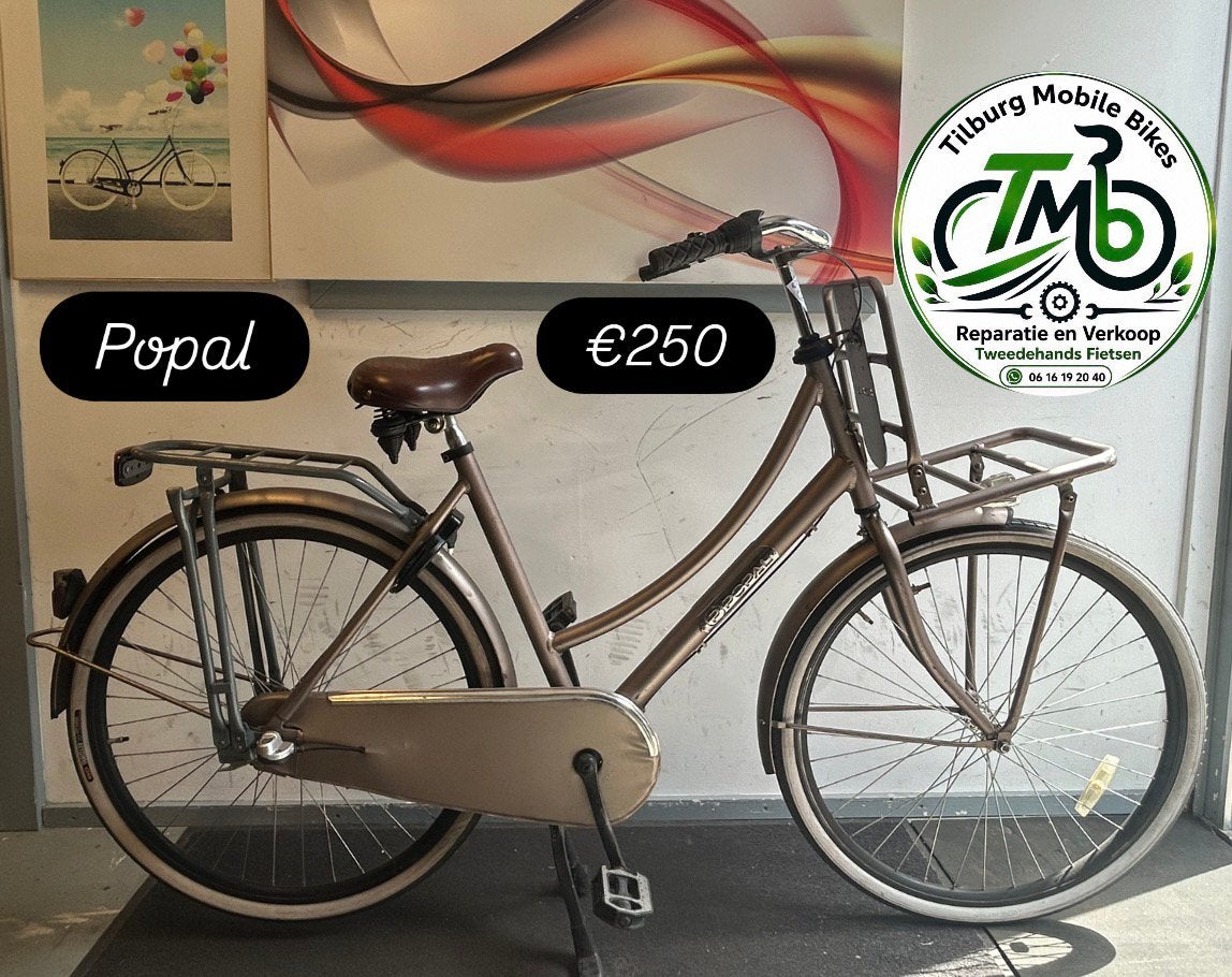 Omafiets/stad/school/Transport student bikes from €150, Ophalen, Zo goed als nieuw