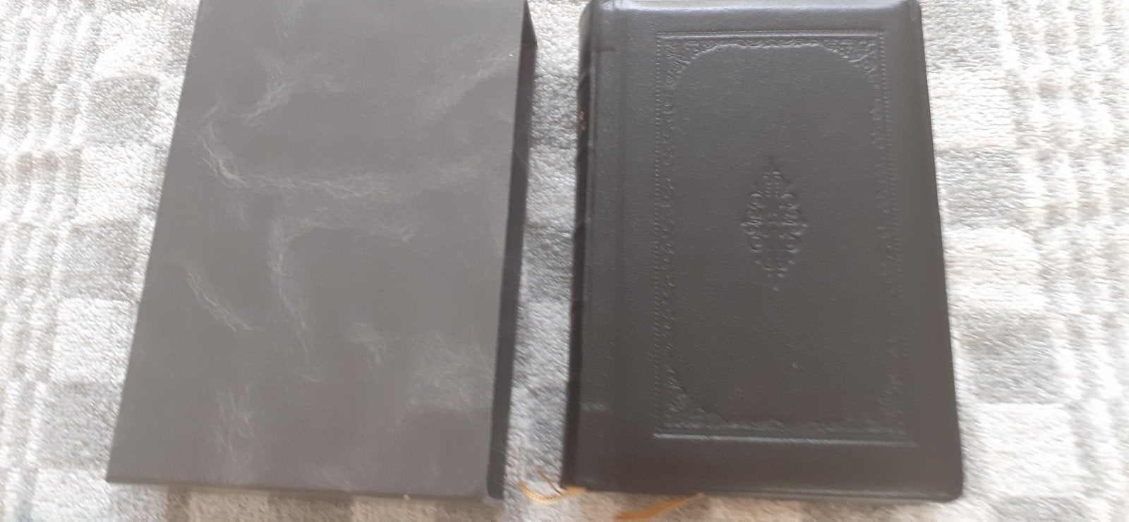 Bijbel, met duimgrepen, Boeken, Godsdienst en Theologie, Ophalen of Verzenden, Zo goed als nieuw