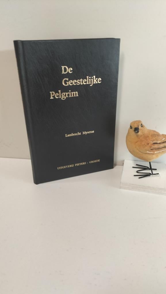 Myseras, Lambrecht ; De geestelijke pelgrim, Ophalen of Verzenden, Gelezen, Christendom | Protestants