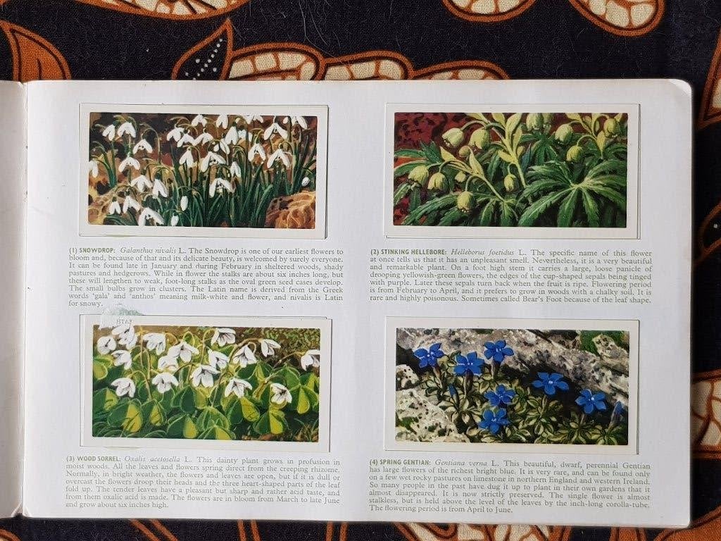 Wild flowers oud Engels album met Brooke Bond theeplaatjes., Ophalen of Verzenden