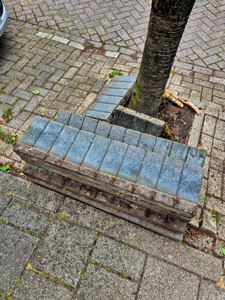 Grijze bielzen gratis af fe halen, Ophalen of Verzenden