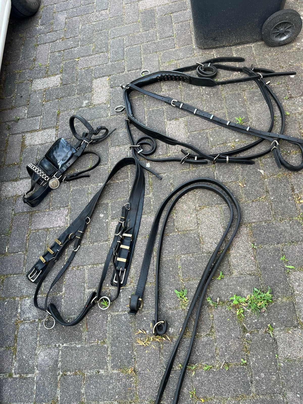 Enkelspan tuig, Dieren en Toebehoren, Ophalen of Verzenden, Gebruikt, Overige soorten