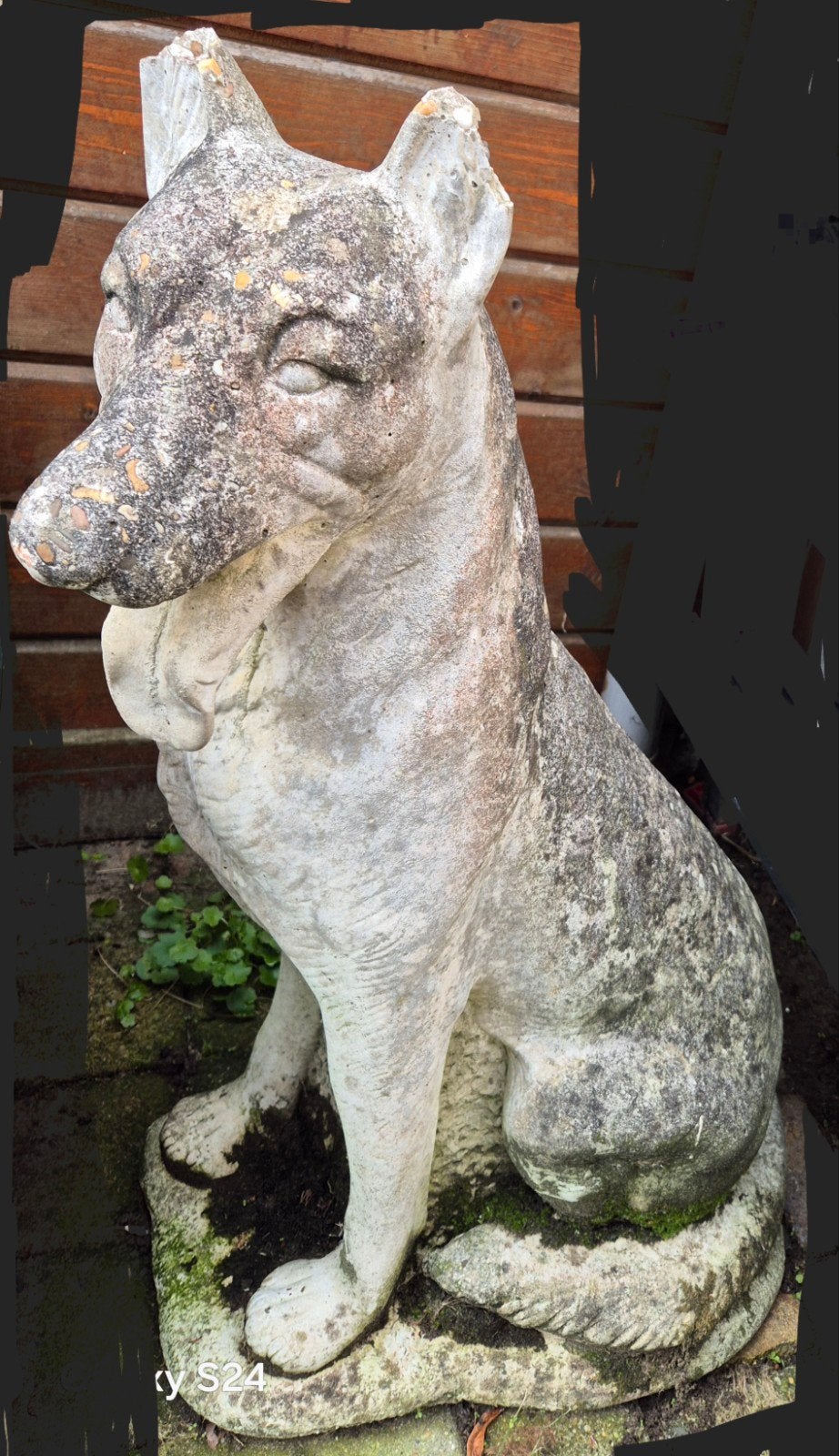 Vintage beton hondenbeeld voor tuin of decoratie, Ophalen of Verzenden, Gebruikt, Beton, Dierenbeeld