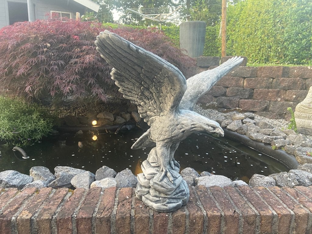 Adelaar, Ophalen, Nieuw, Beton, Dierenbeeld