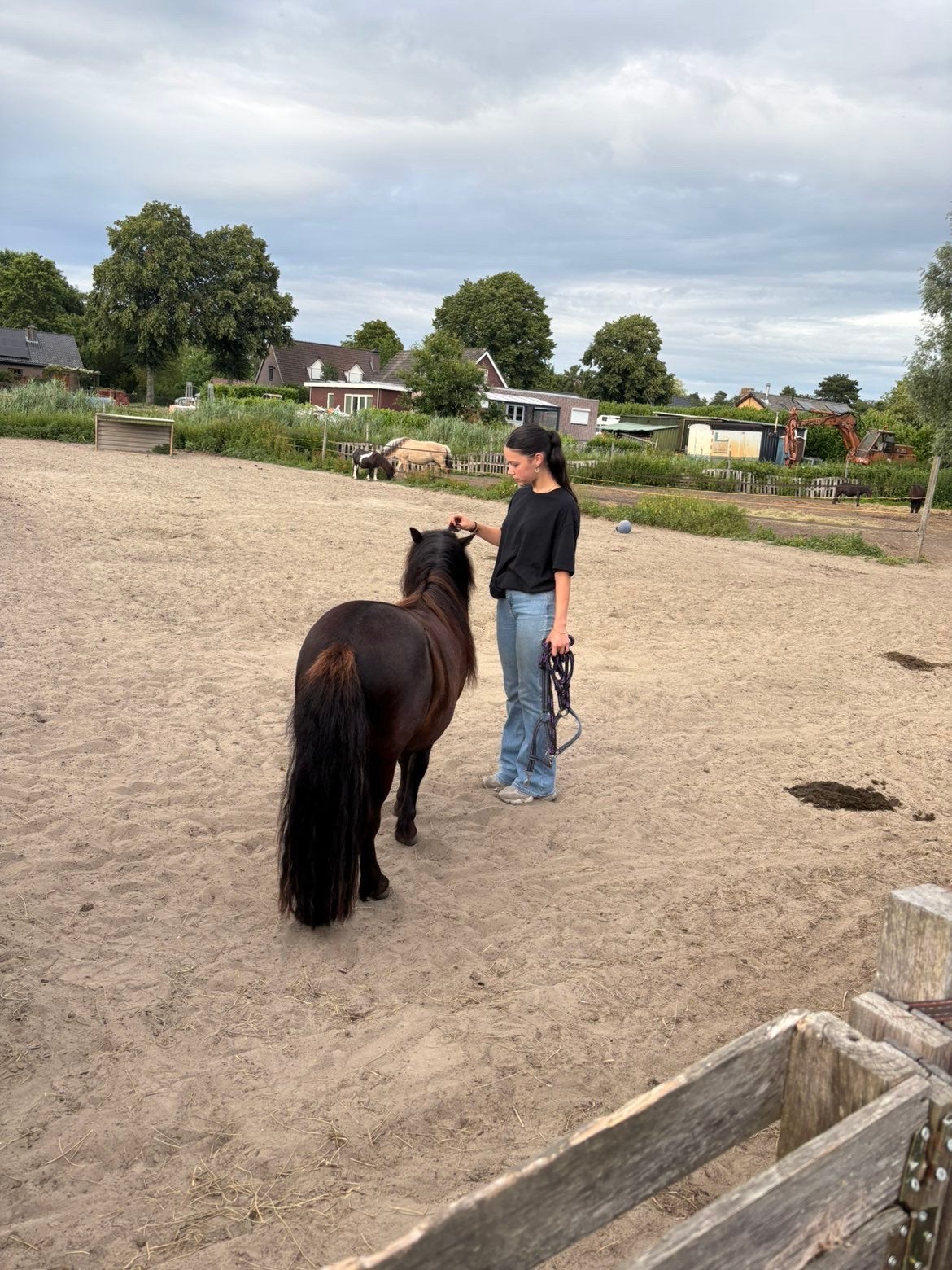 Stalmedewerker/hulp aangeboden