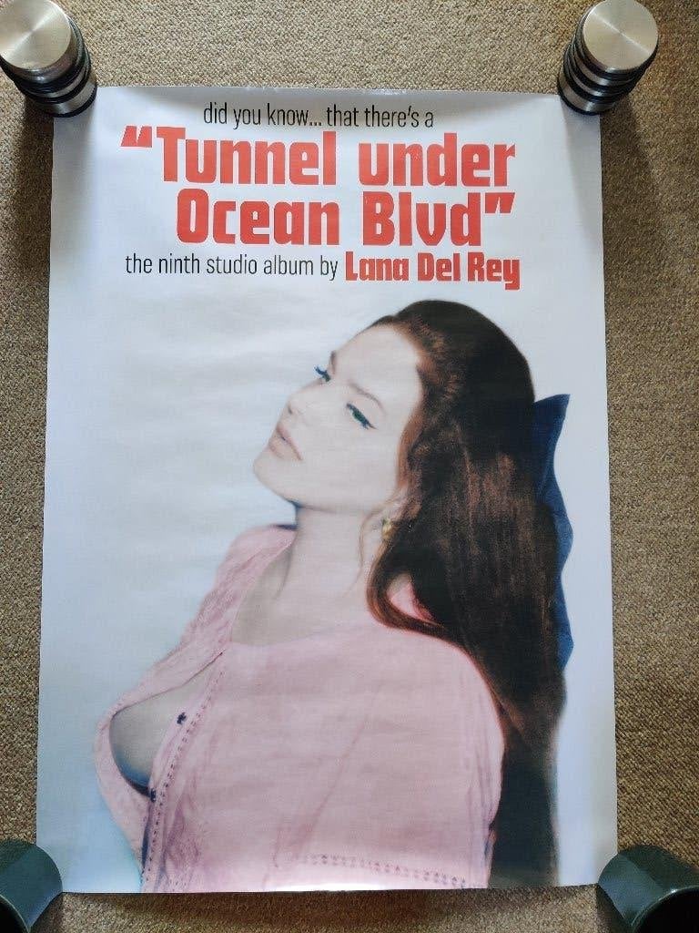 lana del rey Ocean Blvd Promo Poster 72x 50 cm ZELDZAAM, Verzenden, Gebruikt, Poster, Artwork of Schilderij