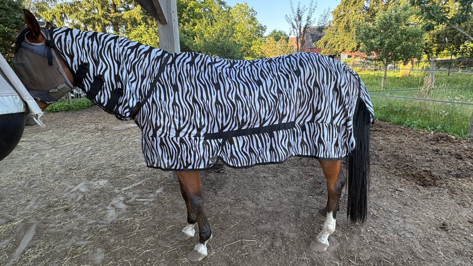 Vliegendeken riding world 145/190 cm, Dieren en Toebehoren, Paarden en Pony's | Dekens en Dekjes, Full (L), Overige merken, Vliegendeken