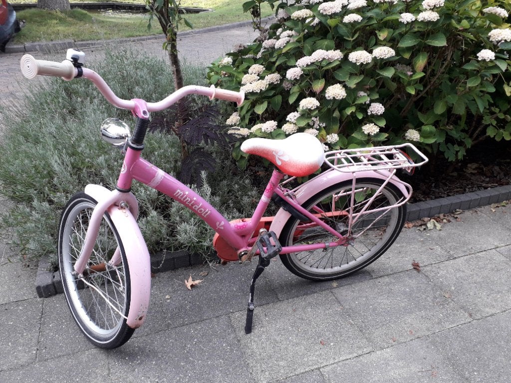 Meisjesfiets 20 inch, Ophalen, Terugtraprem, Gebruikt, Onbekend