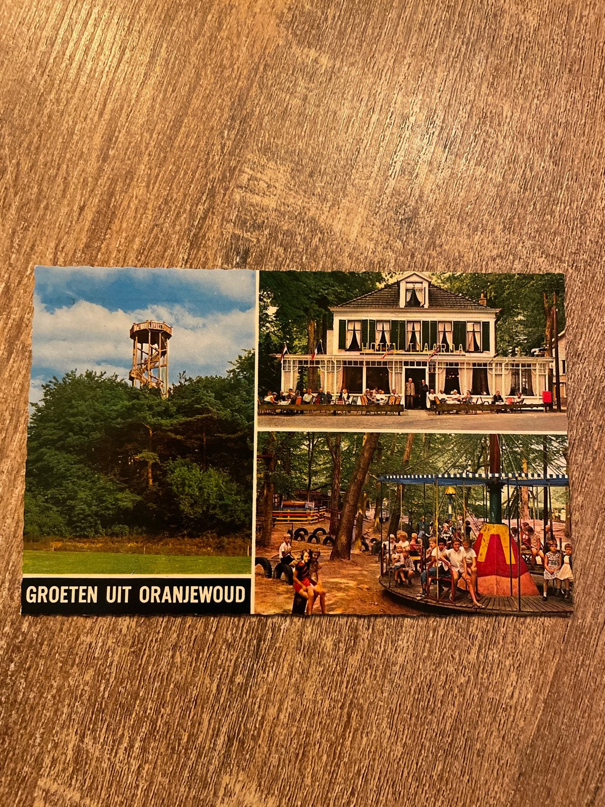 Oude ansichtkaart Oranjewoud - Hotel Tjaarda, Ophalen of Verzenden, 1960 tot 1980, Gelopen, Friesland