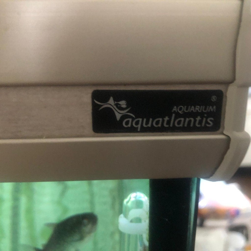 Complete prachtige aquarium met vissen en toebehoren, Ophalen, Aquatlantis, Inclusief vissen, Gevuld zoetwateraquarium