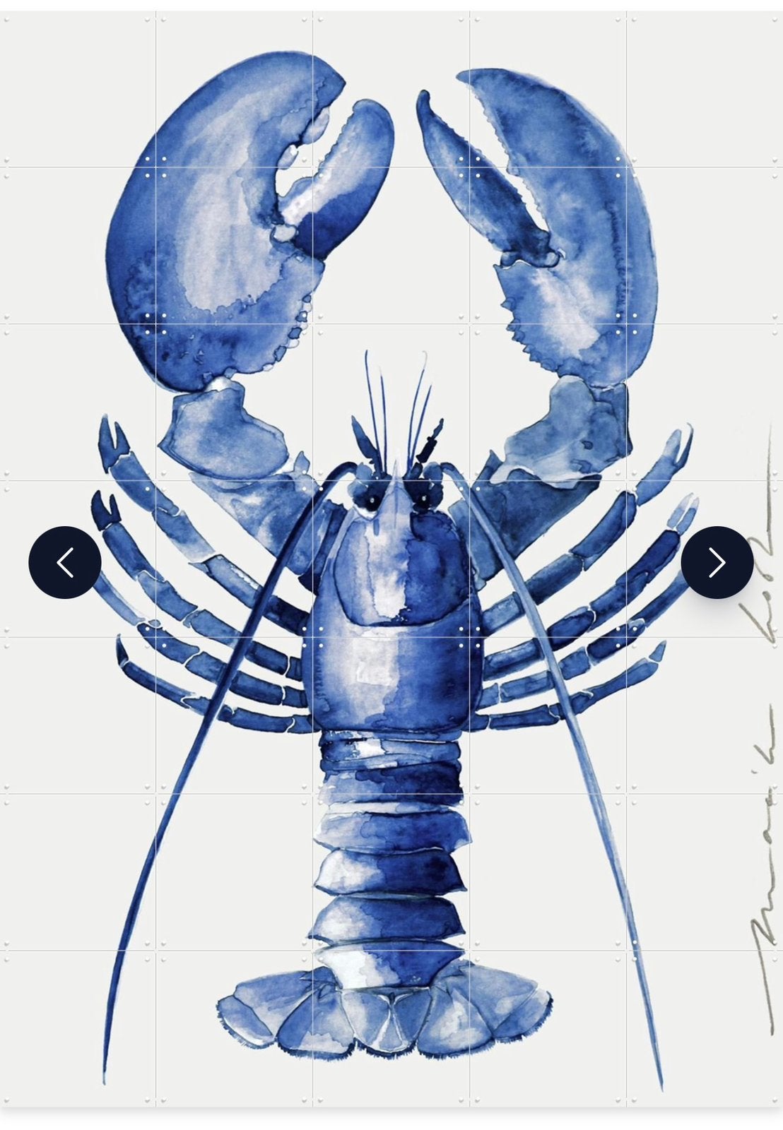 IXXI lobster 120 cm x 160 cm, Ophalen, Nieuw