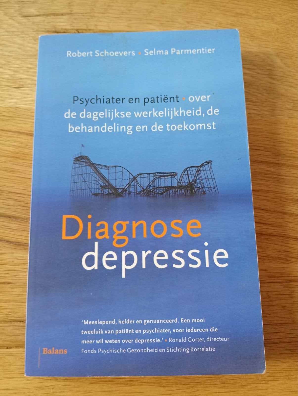 Diagnose depressie: Psychiater en patiënt over depressie, Robert Schoevers, Selma Parmentier, Klinische psychologie, Ophalen of Verzenden