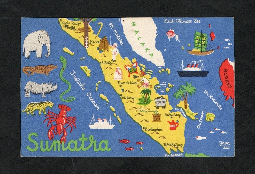 Indië Indonesië Sumatra Olifant Neushoorn Medan Padang., Ophalen of Verzenden, 1940 tot 1960, Ongelopen, Buiten Europa
