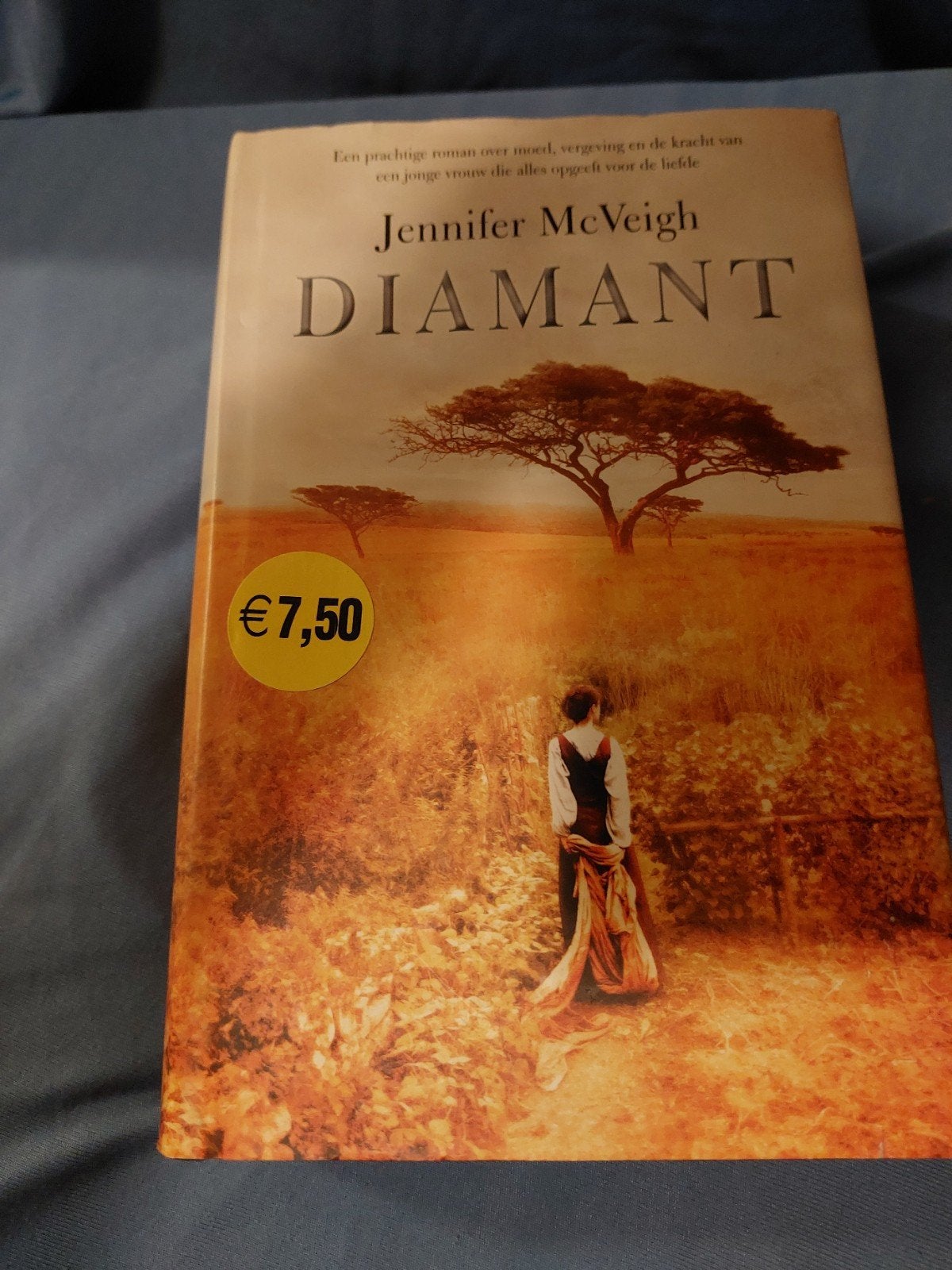 Diamant - Roman over liefde en intrige in Zuid-Afrika, Ophalen of Verzenden, Gelezen, Onbekend, Nederland