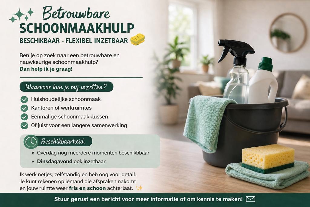 schoonmaakster met tijd, Diensten en Vakmensen, Huishoudelijke hulp, Schoonmaken