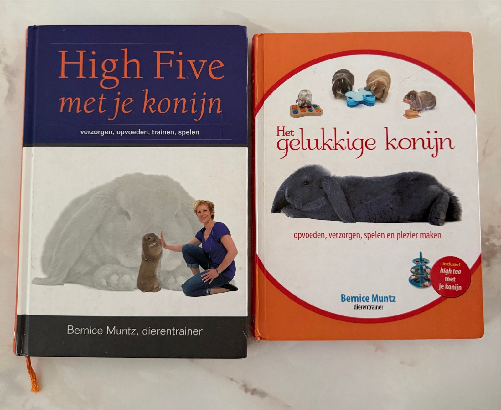 High Five met je konijn & Het gelukkige konijn (Bernice Munt