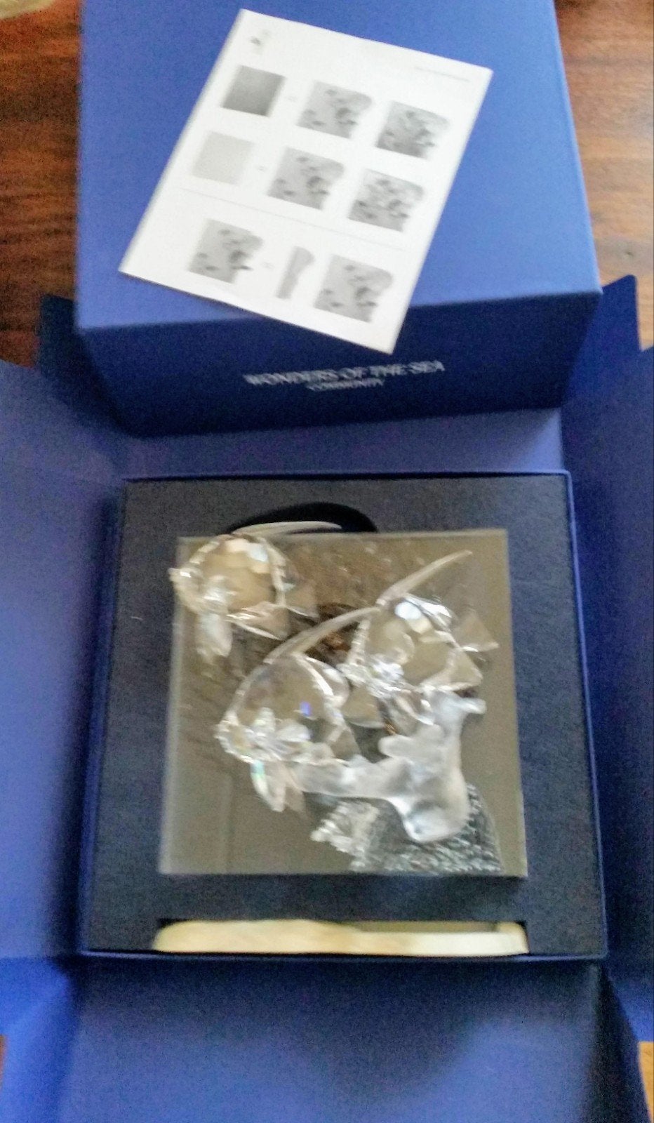 Swarovski Community jaarstuk 2007, Ophalen of Verzenden, Zo goed als nieuw, Figuurtje