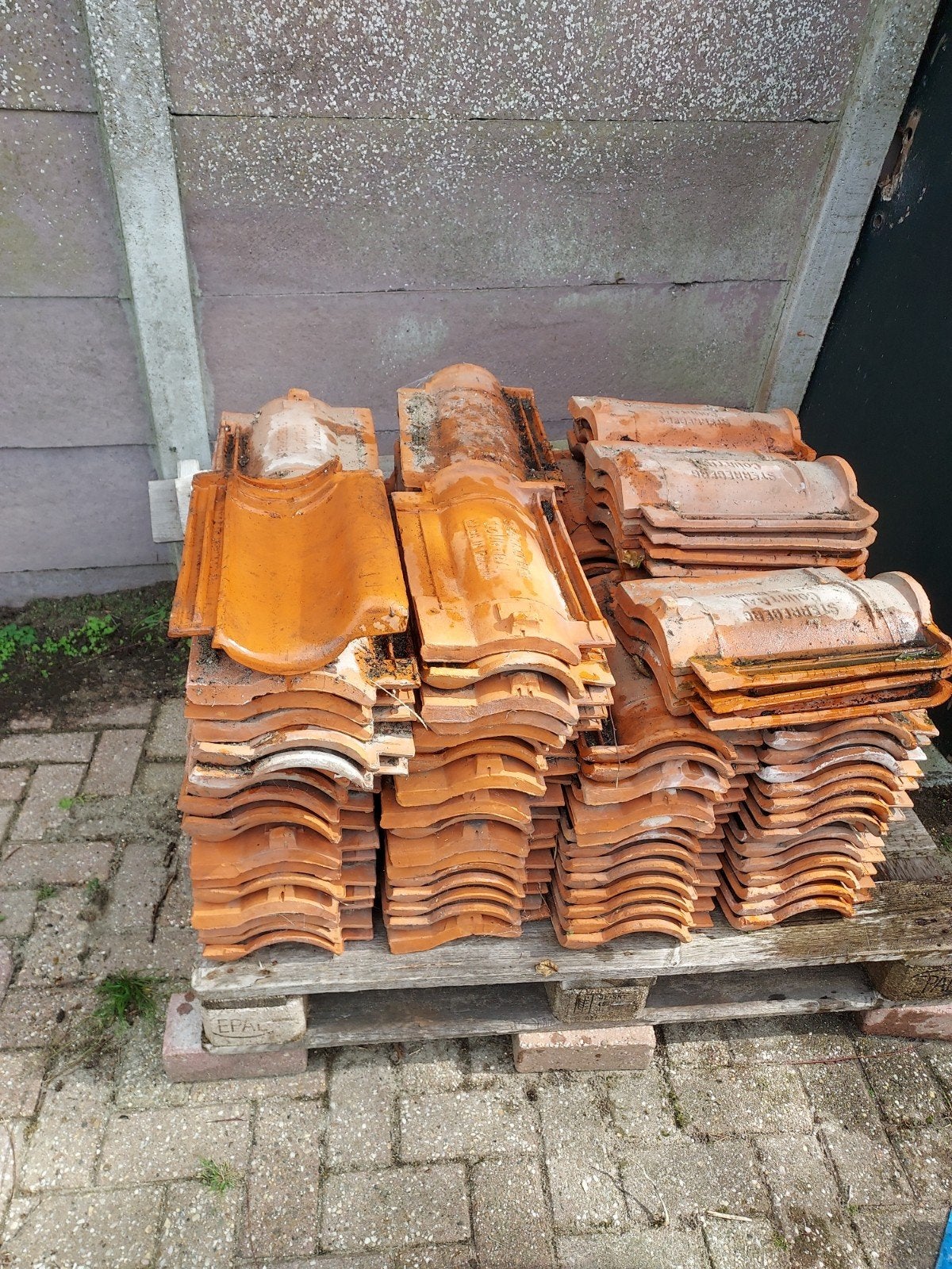 150  Sterreberg Courtrai dakpannen (historisch model), Ophalen, Gebruikt, Steen of Klei, Dakpannen