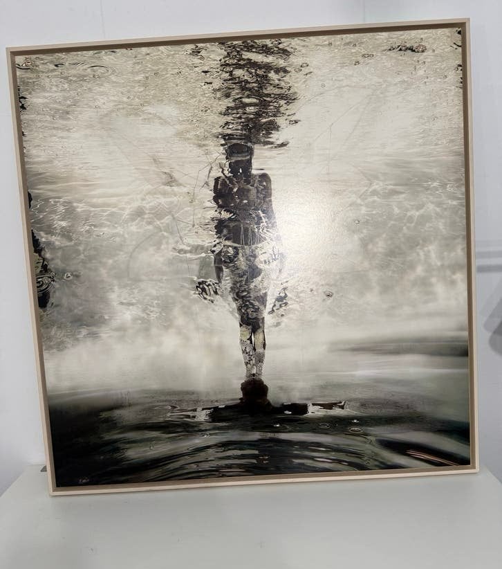 Kunstwerk  "DragonFly" - Dindi van der Hoek, Ophalen