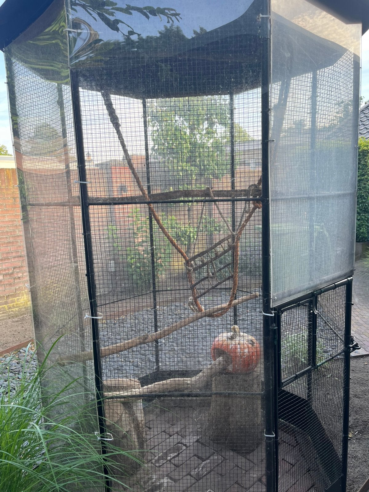 Voliere hok metaal en met plexiglas cortenstaal, Dieren en Toebehoren, Vogels | Hokken en Kooien, Ophalen, Gebruikt, Metaal, Volière