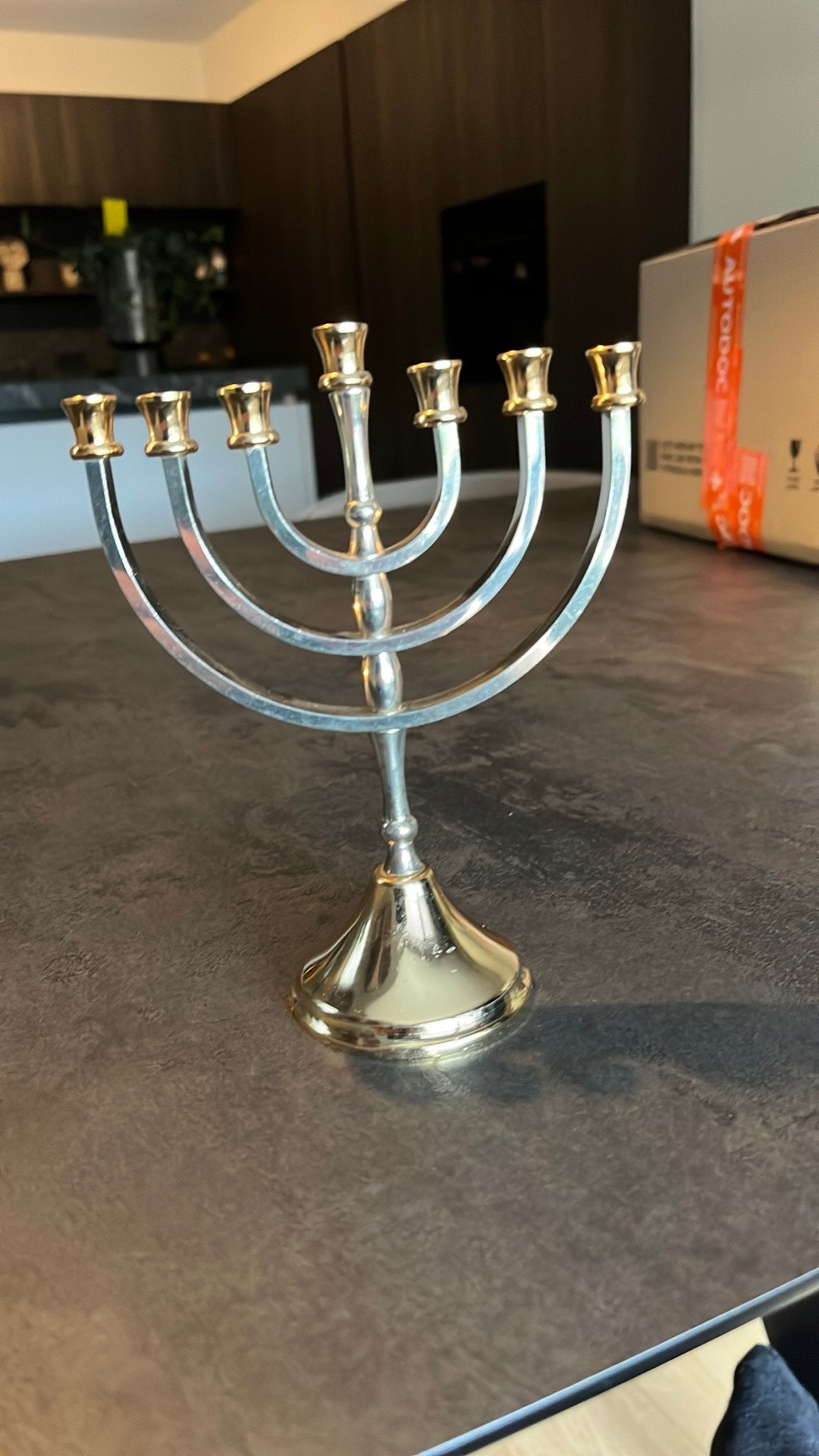 Karshi Zilver & Goud Vergulde Kandelaar Menorah Jeruzalem, Ophalen of Verzenden, Zilver