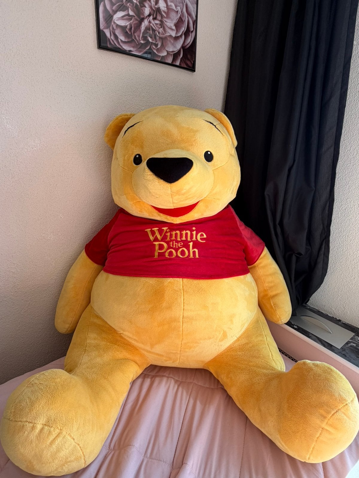 Grote winnie de pooh te koop, Ophalen of Verzenden, Zo goed als nieuw, Overige typen