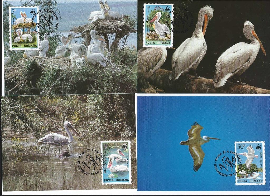 Roemenie Vogels Pelicaan wwf wnf 4 maxikaarten bedreigde die, Ophalen of Verzenden, Overige landen, Postfris