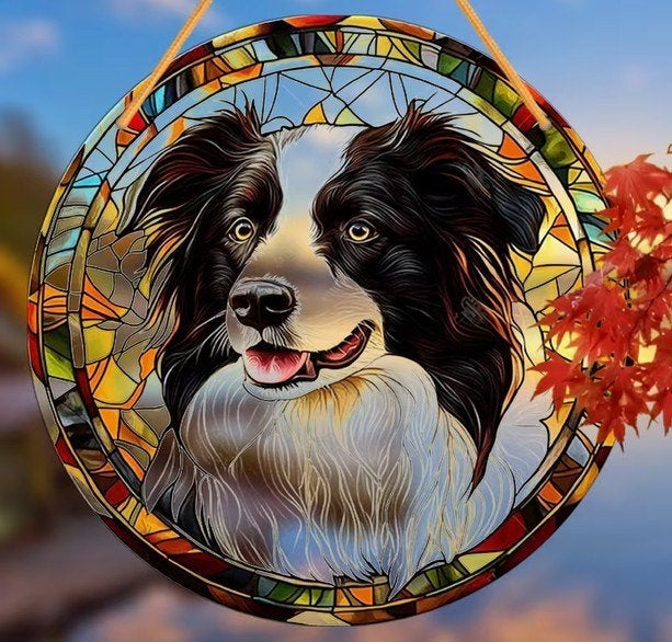 Raamhanger border collie, Verzenden, Nieuw