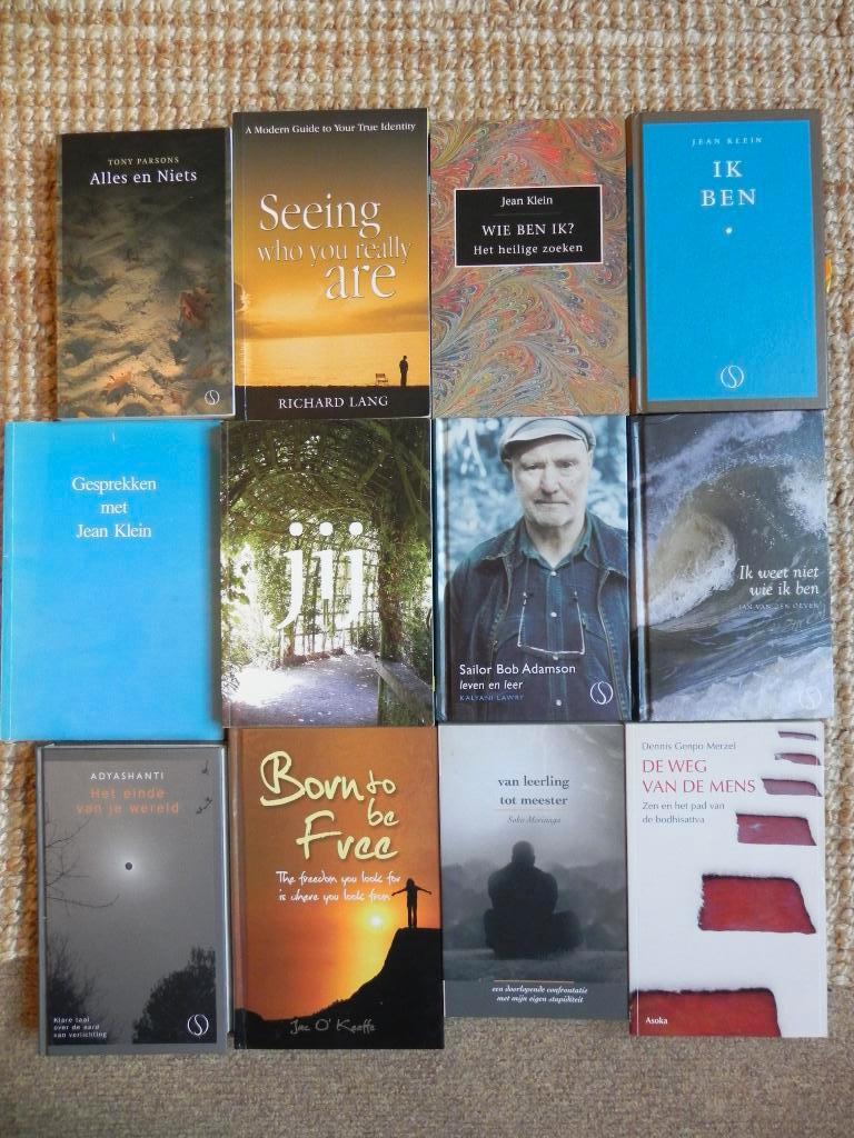 Advaita Vedanta / Nondualiteit boeken (Samsara), Boeken, Ophalen of Verzenden, Zo goed als nieuw, Spiritualiteit algemeen, Overige typen