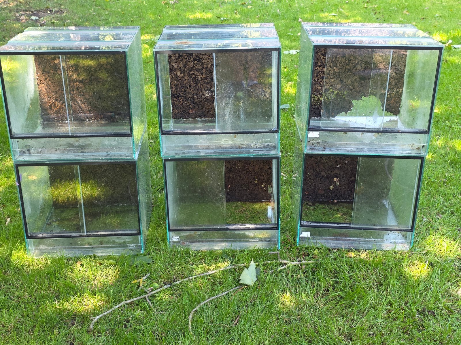 Te koop 6 dendrobaten terrariums, Ophalen