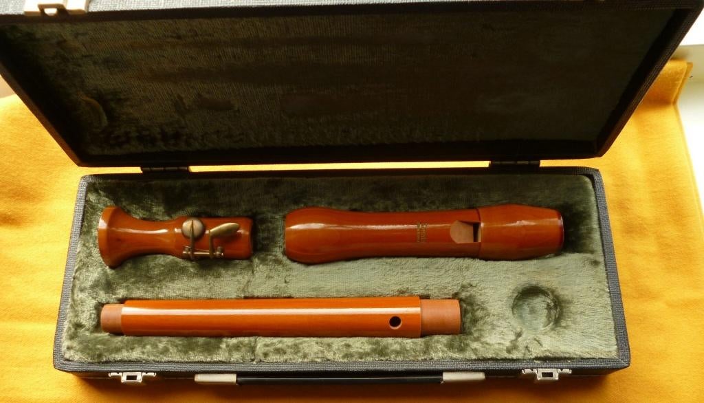 BLOKFLUIT merk Sonata in luxe opbergkoffer (duitse makelij), Ophalen of Verzenden, Zo goed als nieuw, Overige typen, Met koffer, hoes of etui