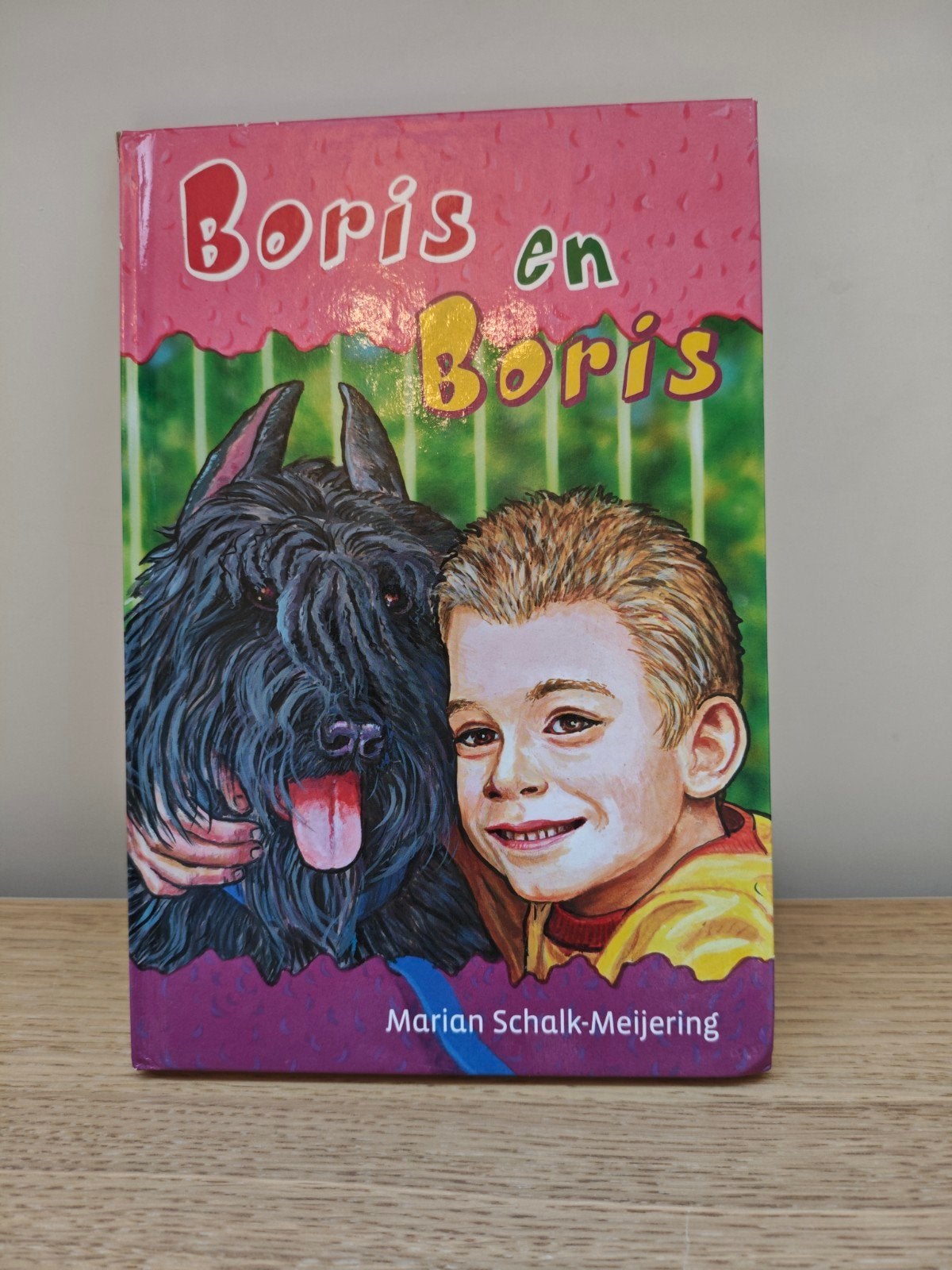 Boris en Boris - Marian Schalk-Meijering (Hardcover), Ophalen of Verzenden, Gelezen, Marian Schalk-Meijering, Fictie algemeen