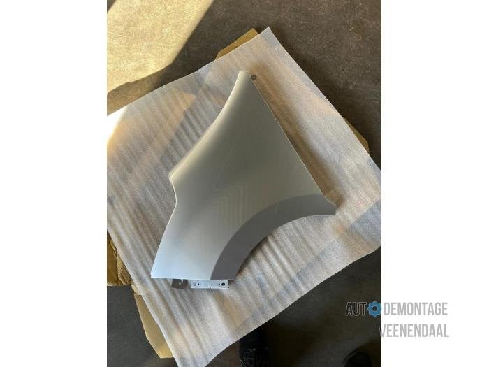 Scherm links-voor van een Renault Master (TEKNH), -, Renault, -, Nieuw