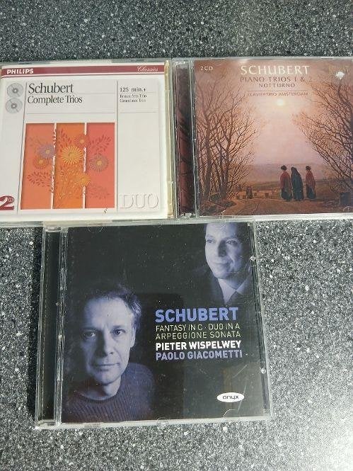 SETJE VAN 3 CD'S - SCHUBERT, Schubert, Ophalen of Verzenden, Romantiek, Kamermuziek