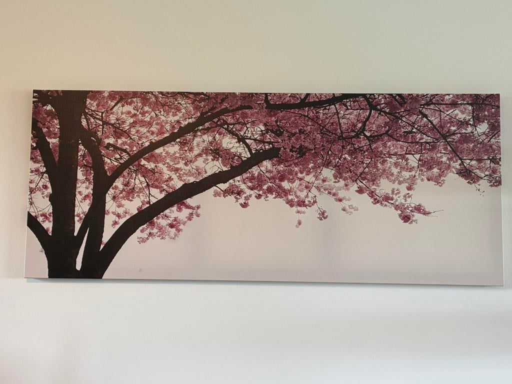 CANVAS AFBEELDING BLOESEM 140x57, Ophalen, Zo goed als nieuw