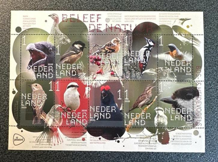 Postzegelvel Nederland 2020 - Beleef de Natuur: Vogels, Ophalen of Verzenden, Na 1940, Postfris