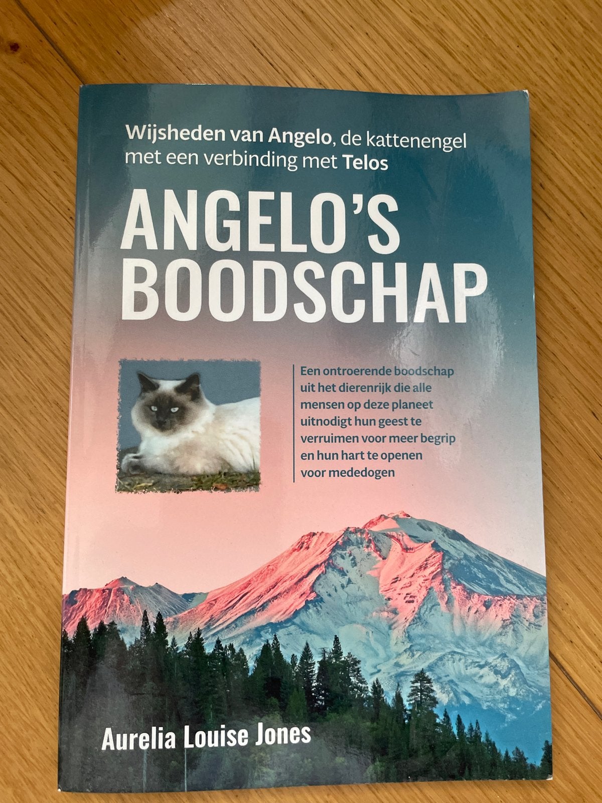 Angelo's Boodschap - Aurelia Louise Jones, Boeken, Dieren en Huisdieren, Ophalen of Verzenden, Zo goed als nieuw, Katten